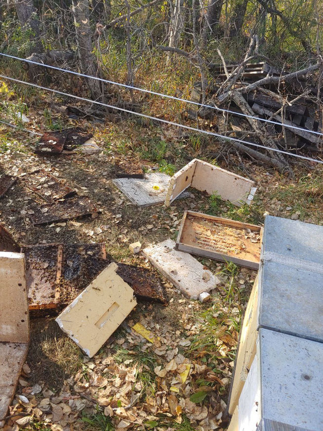 2021 Season photo 59